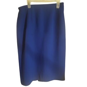 Elegant Blue Women's Skirt